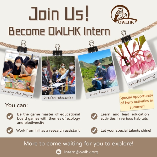 owlhk-summer-internship-2024
